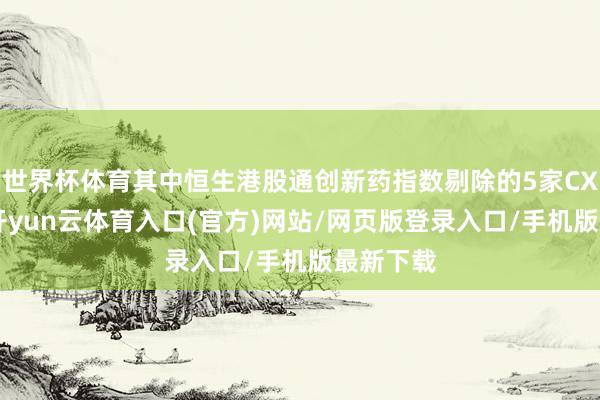 世界杯体育其中恒生港股通创新药指数剔除的5家CXO公司-开yun云体育入口(官方)网站/网页版登录入口/手机版最新下载
